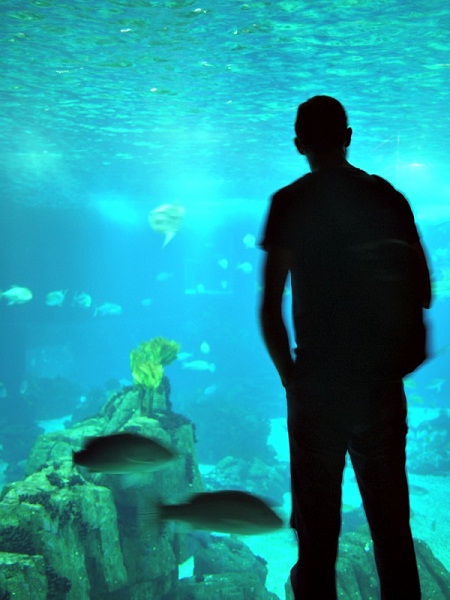 Aquarium michael and tank