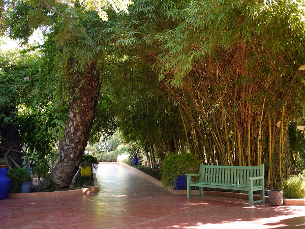 jardin majorelle 2