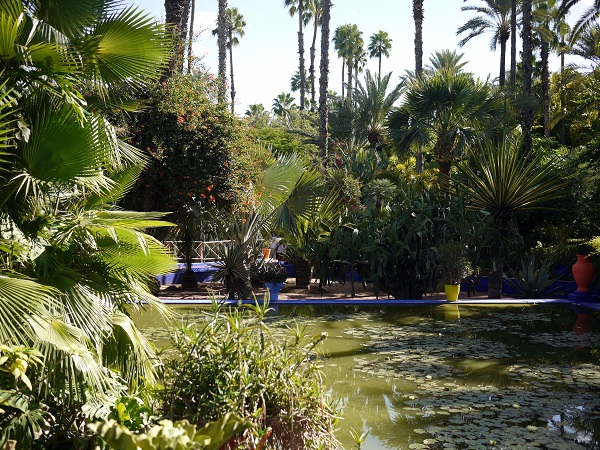 jardin majorelle 3