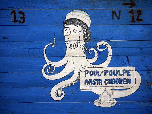 village rasta octopus