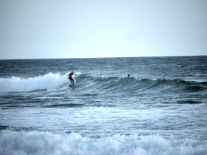 surf 5