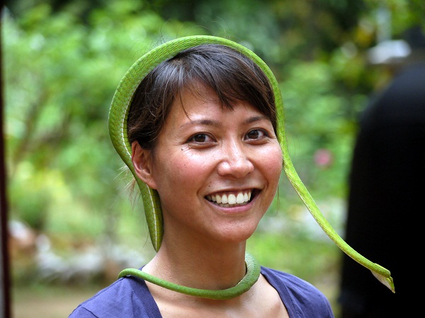 snake tiara