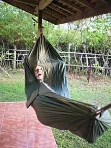 hammock