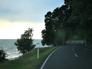 coromandel drive 3