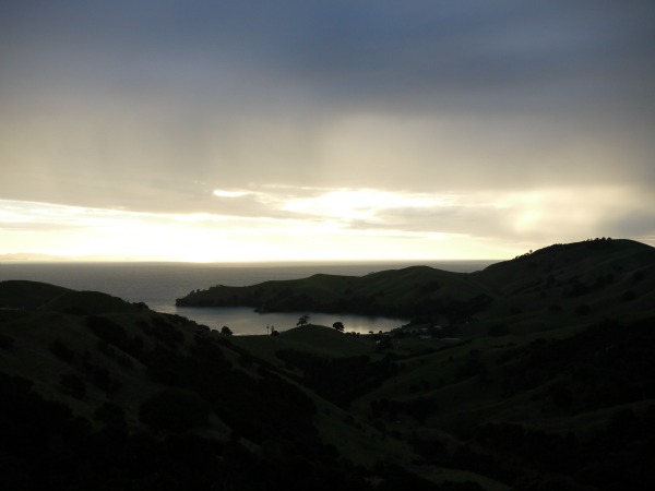 coromandel view 2
