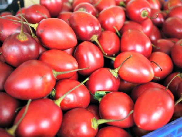 tamarillos