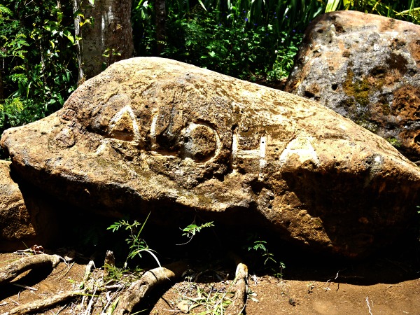 aloha rock