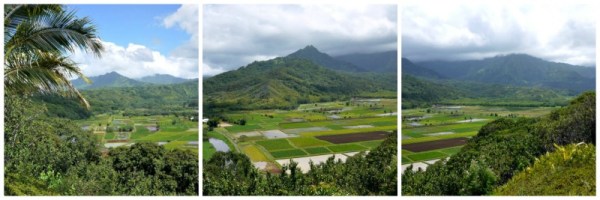 hanalei valley collage