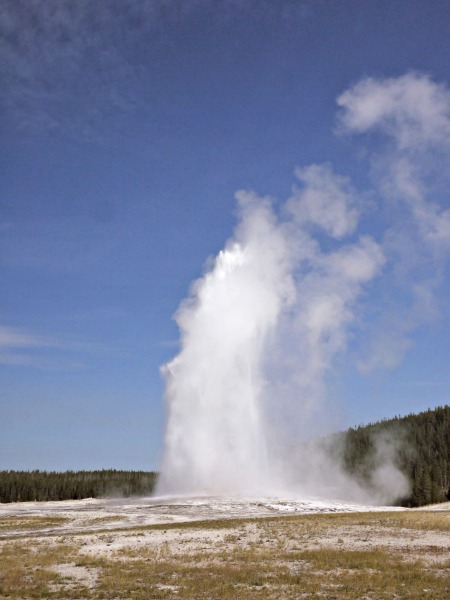 old faithful